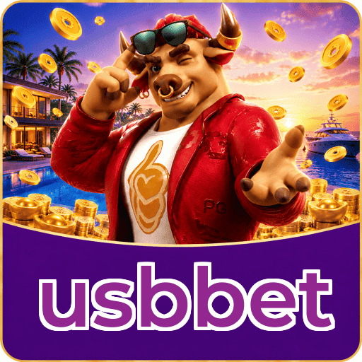 usbbet Instalar Logo 2